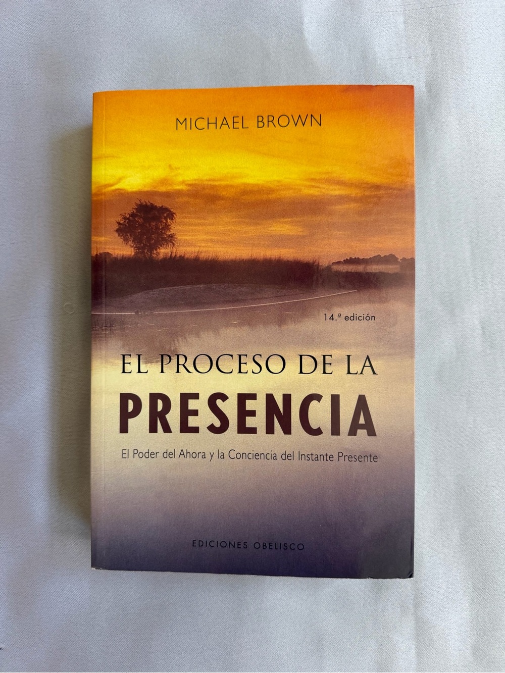 - El Proceso de la Presencia (Orange Gradient Cover)